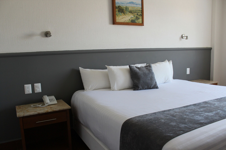 Bedroom 3, Hoteles Unico Express, León