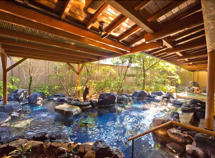 Others 5, Ryokan Tokiichiyu, Minamiizu