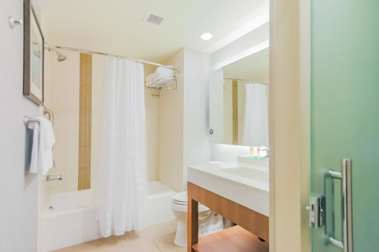 Bathroom 4, Hyatt Place Pensacola Airport, Escambia
