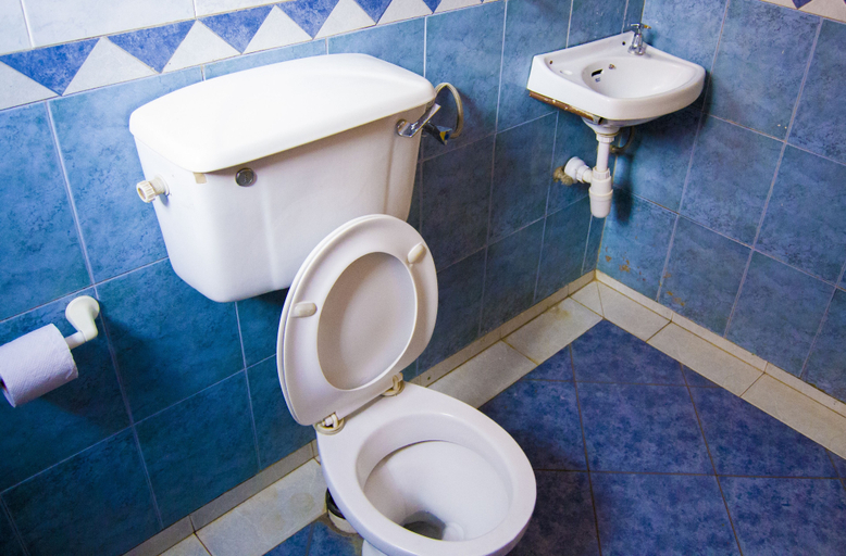 Bathroom 4, Mooreland Hotel Nairobi, Starehe