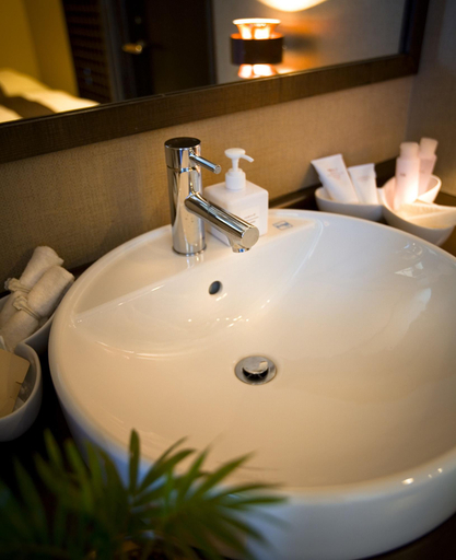 Bathroom 4, Himakajima Isuzukan, Minamichita
