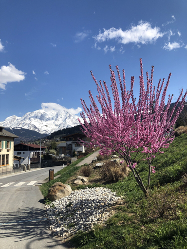 Exterior & Views 2, Le Floralp, Haute-Savoie