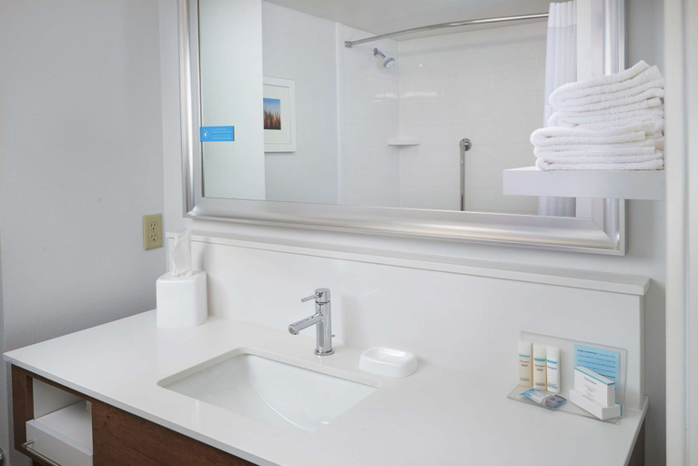 Bathroom 4, Hampton Inn & Suites Rogers, Hennepin