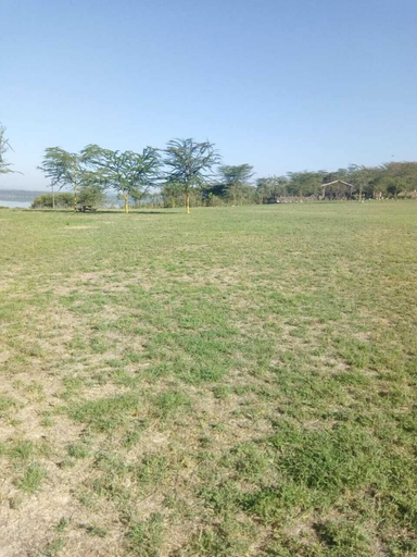 Others 4, Duara Flamingo Camp, Gilgil