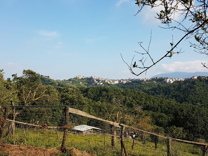 Exterior & Views 2, Agriturismo Cisogna, Frosinone