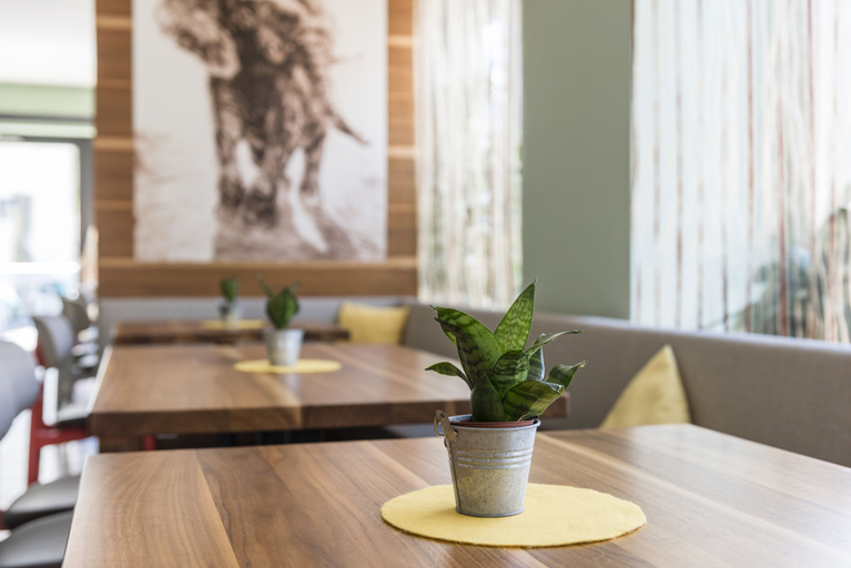 Food & Drinks 5, Elefant, Bolzano