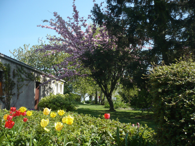 Exterior & Views 2, Chambres D'hotes Anne-Marie, Indre