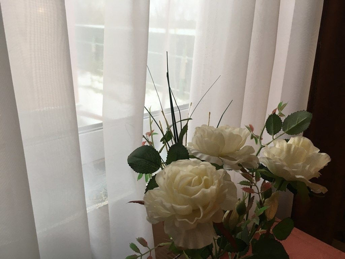 Others 5, Vladimirski Hutorok, Kameshkovskiy rayon