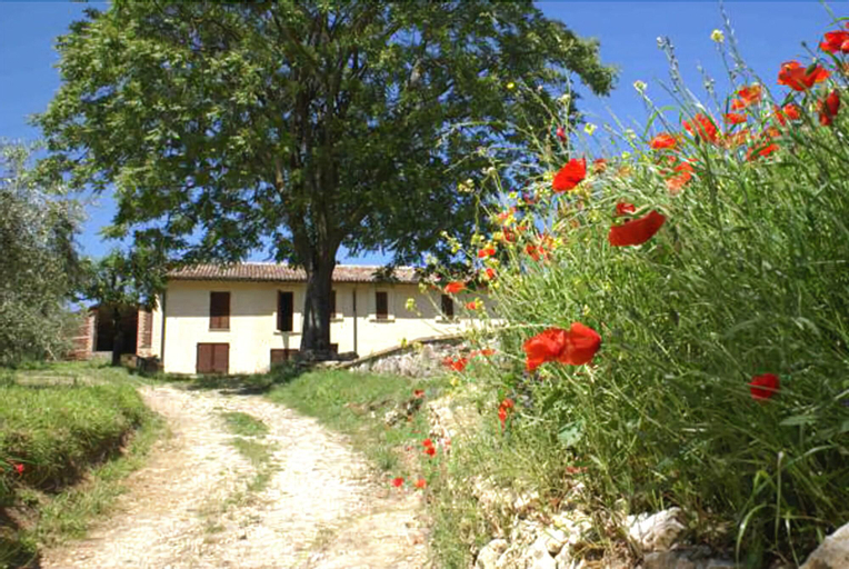 La Perticara, Terni