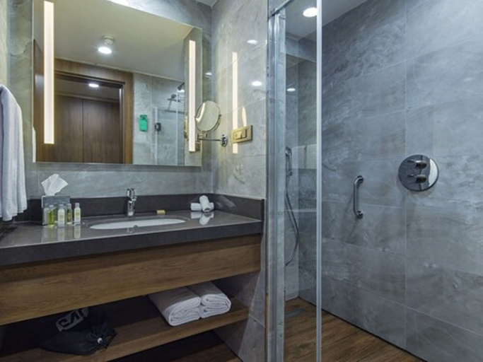 Bathroom 5, Hilton Garden Inn Yalova, Merkez