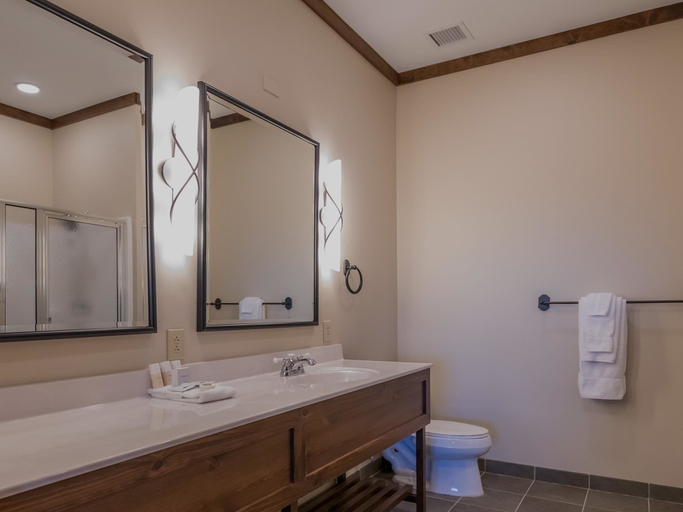 Bathroom 4, 3 Br: Soaring Eagle 404, Pocahontas