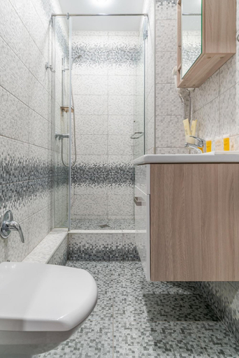 Bathroom 4, Tsarskaya Stolica, Sankt-Peterburg gorsovet