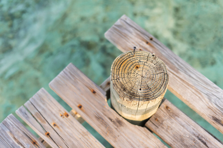 Food & Drinks 3, Belize Adventures at Long Caye