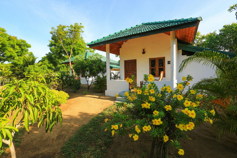 Exterior & Views 3, Paper Moon Kudils, Pothuvil