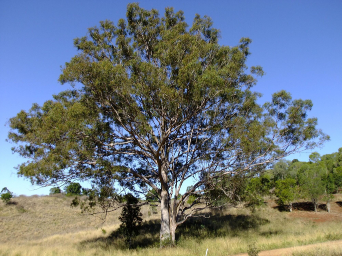 Exterior & Views 2, Deshons Retreat, Kingaroy