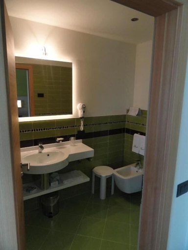 Bathroom 4, Viridis Hotel, Trento