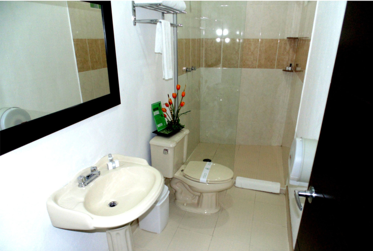 Bathroom 4, Chiapas Hotel Express, Tuxtla Gutierrez, Tuxtla Gutiérrez