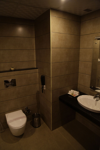 Bathroom 4, The Munnar Queen, Idukki