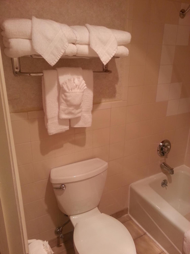 Bathroom 3, The Inn at Tomichi Village, Gunnison