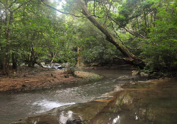 Others 5, Back of Beyond - Dehigaha Ela, Dambulla