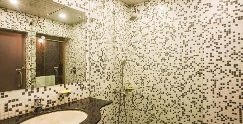 Bathroom 3, Apple Valley Resort, Kullu