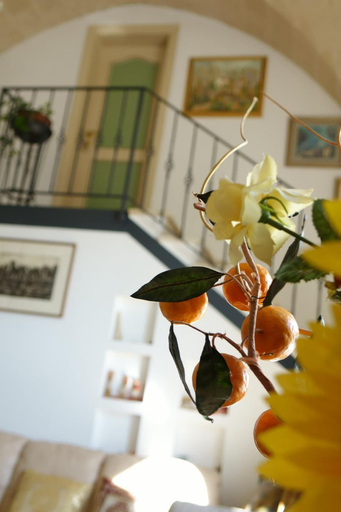 Exterior & Views 2, B&B Donna Lina, Matera