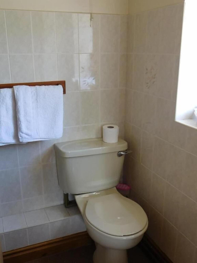 Bathroom 5, The Railway Inn, Powys