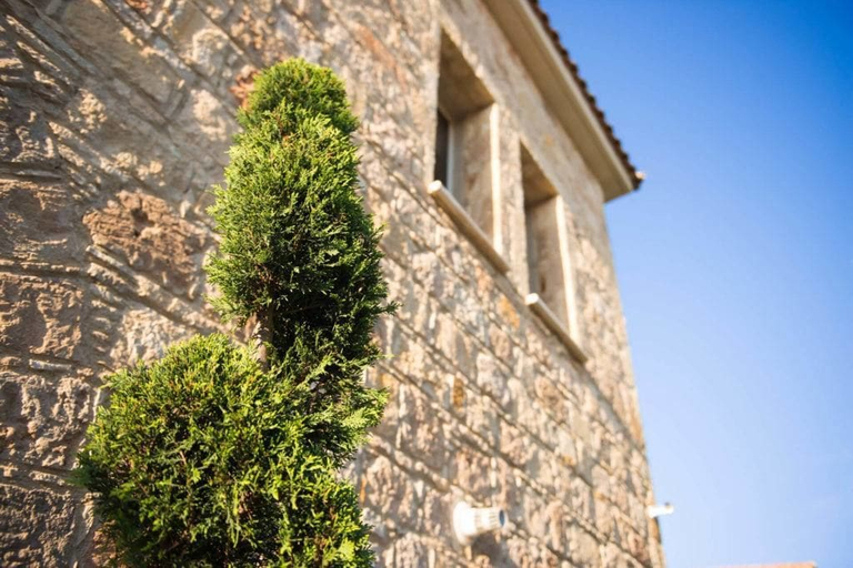 Exterior & Views 2, Villa Siesta