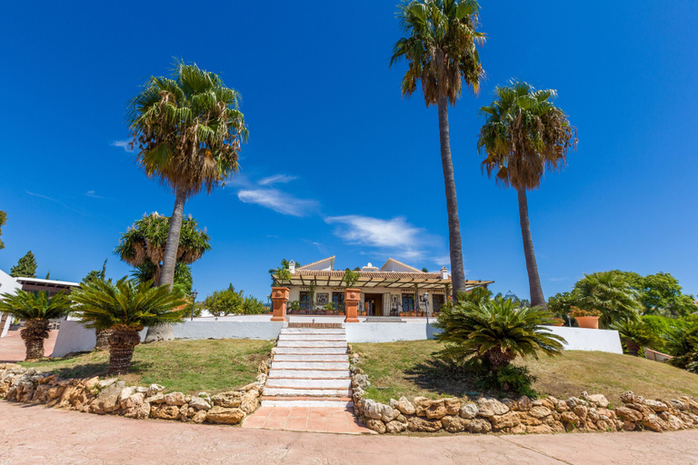 Exterior & Views 2, Cortijo Boutique Marbella, Málaga