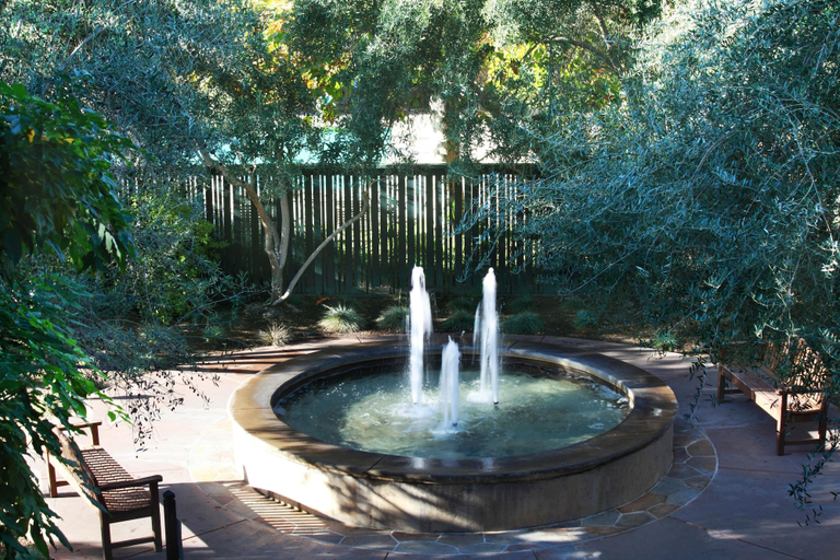 Sport & Beauty 3, Southbridge Napa Valley, Napa