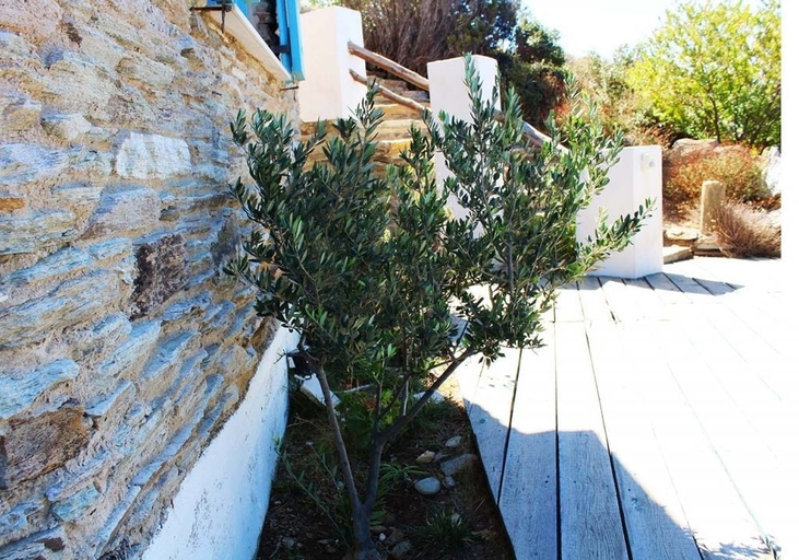 Exterior & Views 2, Villette Adonis, South Aegean