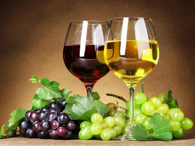 Food & Drinks 2, Hotel Nilwala, Beruwala