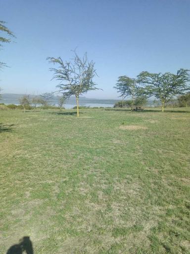 Others 3, Duara Flamingo Camp, Gilgil