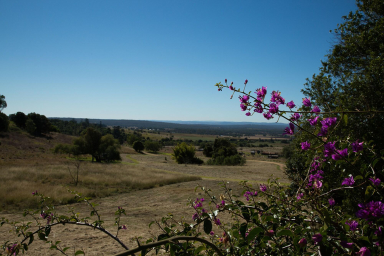 Exterior & Views 2, Deshons Retreat, Kingaroy