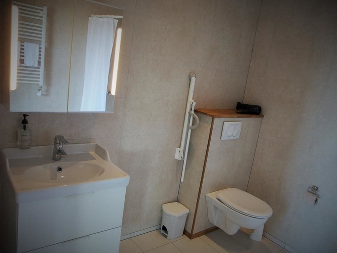 Bathroom, Saltvík Farm Guesthouse, Reykjahreppur