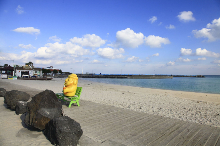 Others 4, Dahlia, Jeju