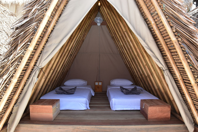 Bedroom 4, Mad Monkey Gili Trawangan - Hostel, Lombok