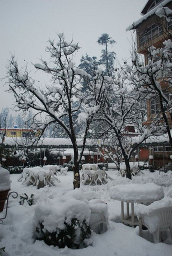 Exterior & Views 2, Bravia Hotel Manali Inn, Kullu