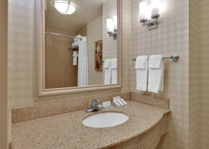 Bathroom 4, Hilton Garden Inn San Diego Del Mar, San Diego