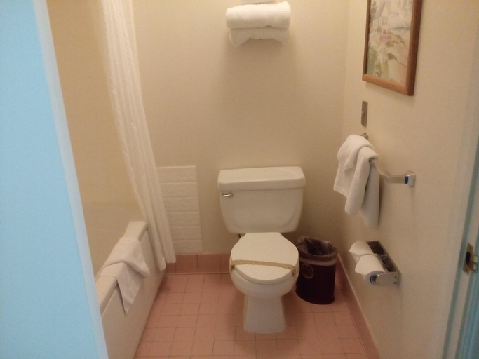 Bathroom, Arena Hotel, Santa Clara