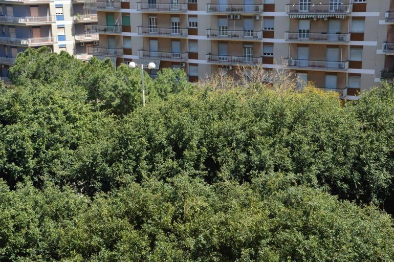 Exterior & Views 2, Michelangelo BB Rooms, Catania