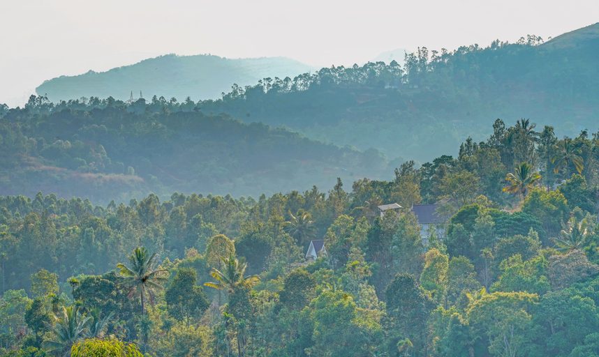 Others 5, Treebo Wanderlust Residency With Mountain View, Idukki