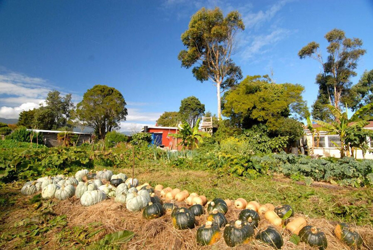 Others 5, Karamea Farm Baches, Buller
