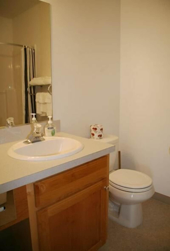 Bathroom, Ponderosa Motel, Klickitat