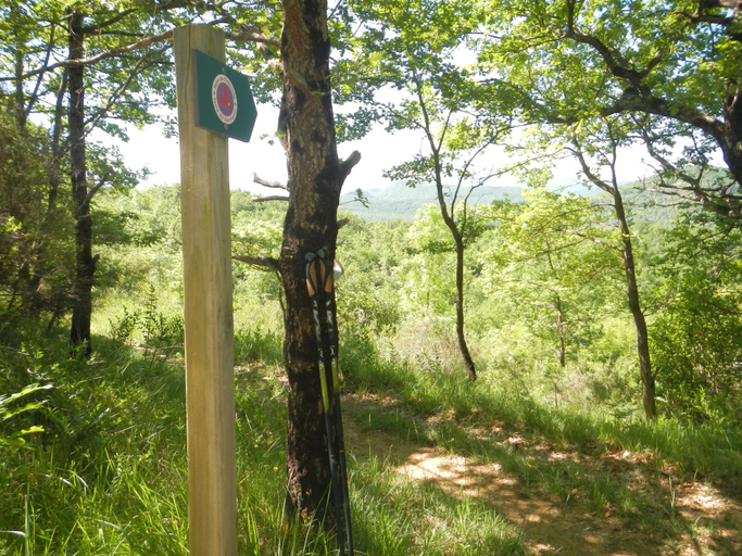 Others 5, Camping des vignes, Ariège