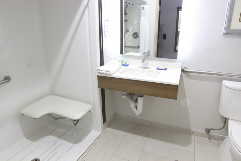 Bathroom 3, Holiday Inn Express Hotel & Suites Seguin by IHG, Guadalupe