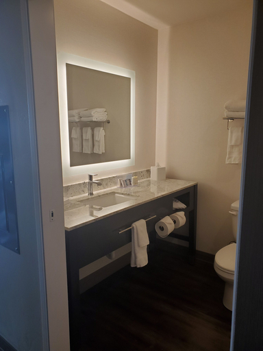 Bathroom 3, Simple Suites Boise Airport, Ada
