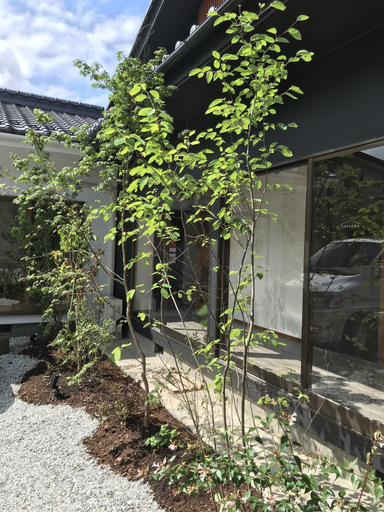 Exterior & Views 2, cafe & stay CASTANA, Matsumoto
