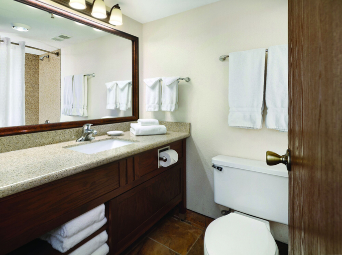 Bathroom 4, Western Heritage Hotel and Conference Center, an Ascend Collection Hotel, Natrona