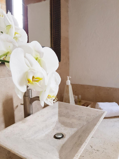 Bathroom 3, Casa Aurea, Morelia